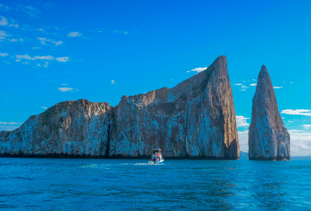 Galapagos Fin de Año